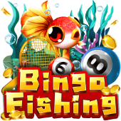 Bingo Fishing at KKK77